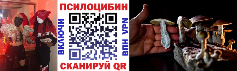 Псилоцибиновые грибы Magic Shrooms  Елизово 